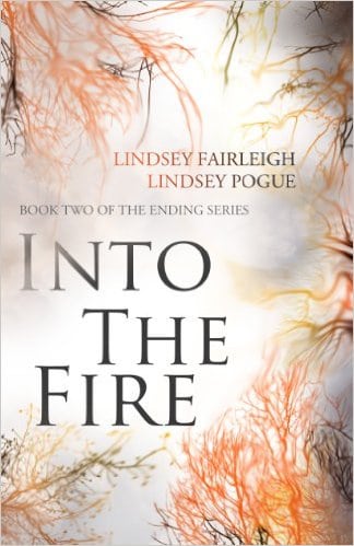 Cover for Into The Fire
