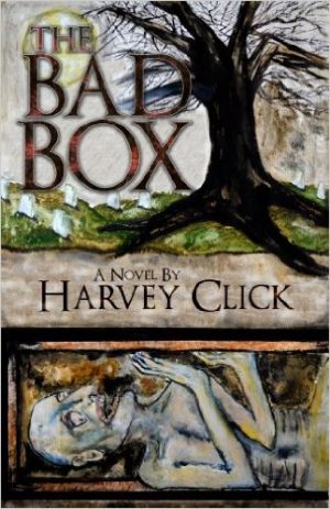 Cover for The Bad Box