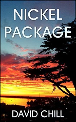 Cover for Nickel Package