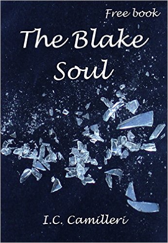 Cover for The Blake Soul