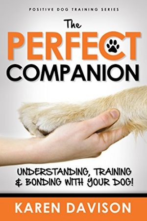 Cover for The Perfect Companion