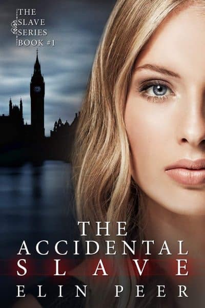 Cover for The Accidental Slave