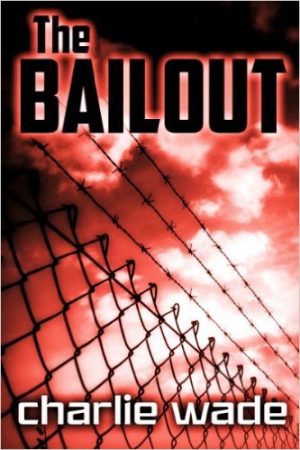 Cover for The Bailout