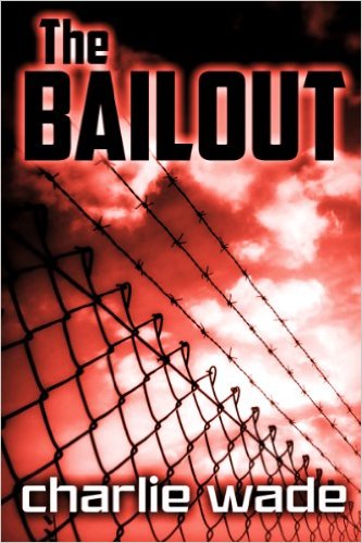 Cover for The Bailout