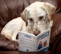 Books Your Way - A dog's guide to humans