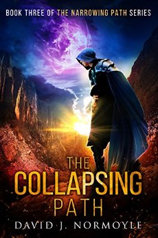 Cover for The Collapsing Path