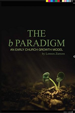 Cover for The b Paradigm