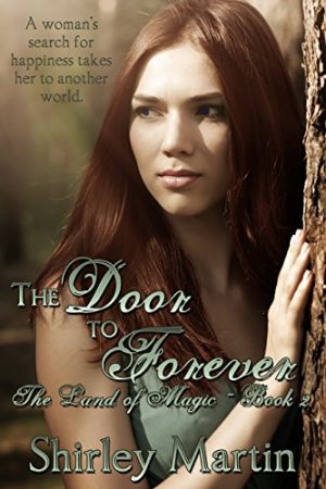 Cover for The Door to Forever
