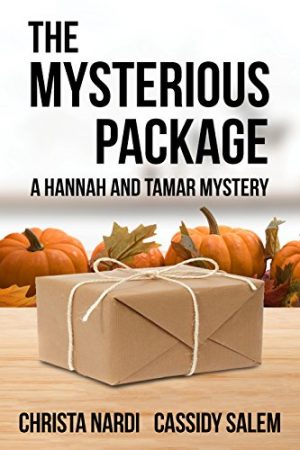 Cover for The Mysterious Package