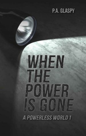 Cover for When the Power is Gone