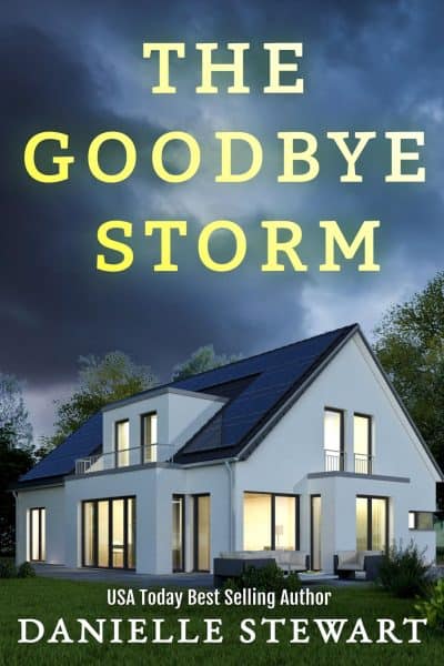 Cover for The Goodbye Storm