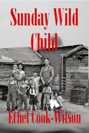Cover for Sunday Wild Child