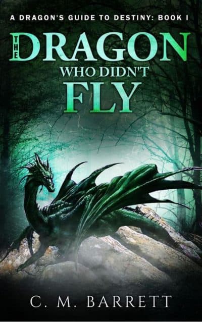 Cover for The Dragon Who Didn't Fly