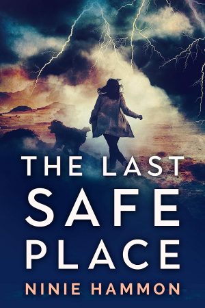 Cover for The Last Safe Place