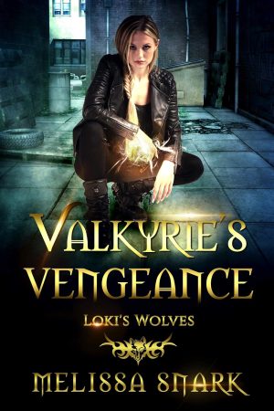 Cover for Valkyrie's Vengeance
