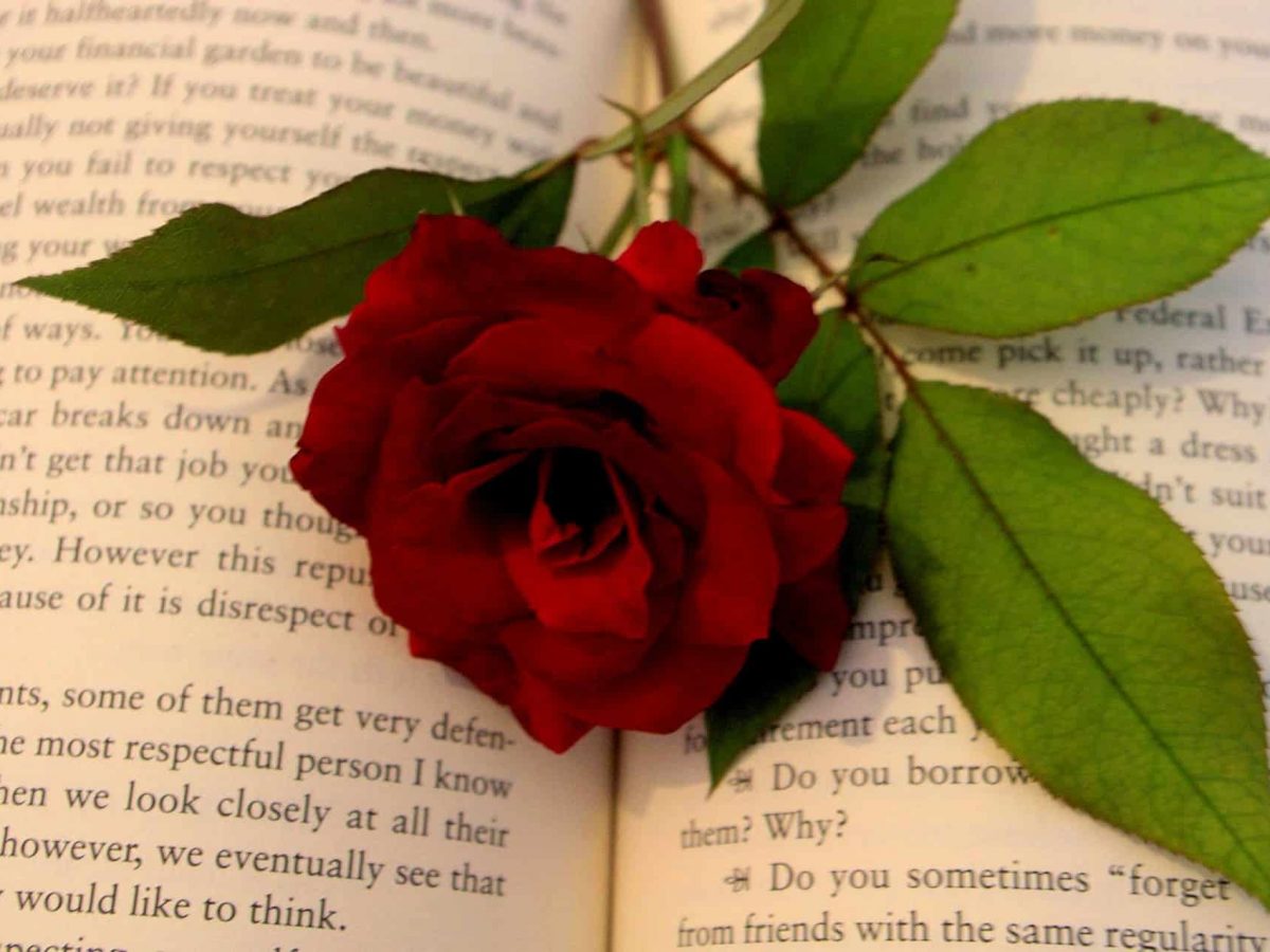 40 Best Love Quotes Given To Us From Literature Book Cave
