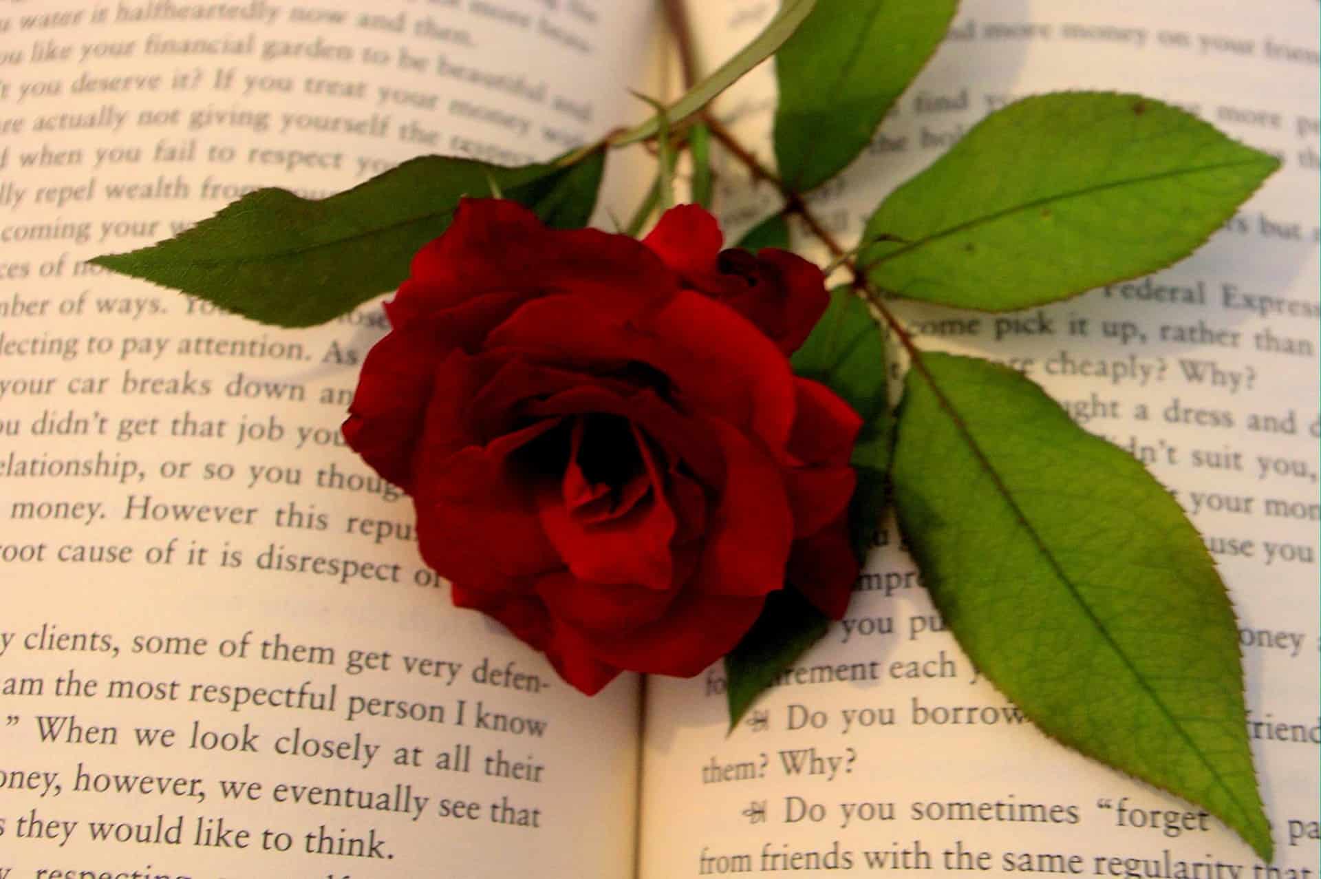 40 Best Love Quotes Given To Us From Literature Book Cave