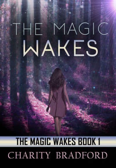Cover for The Magic Wakes