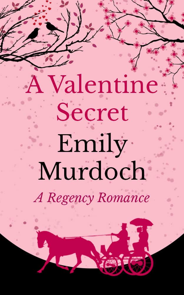 Secret valentine. Valentines book Covers.