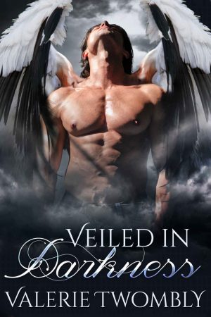 Cover for Veiled in Darkness