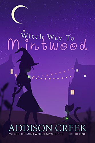 Cover for Witch Way to Mintwood