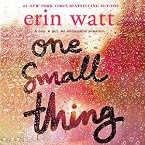 Cover for One Small Thing