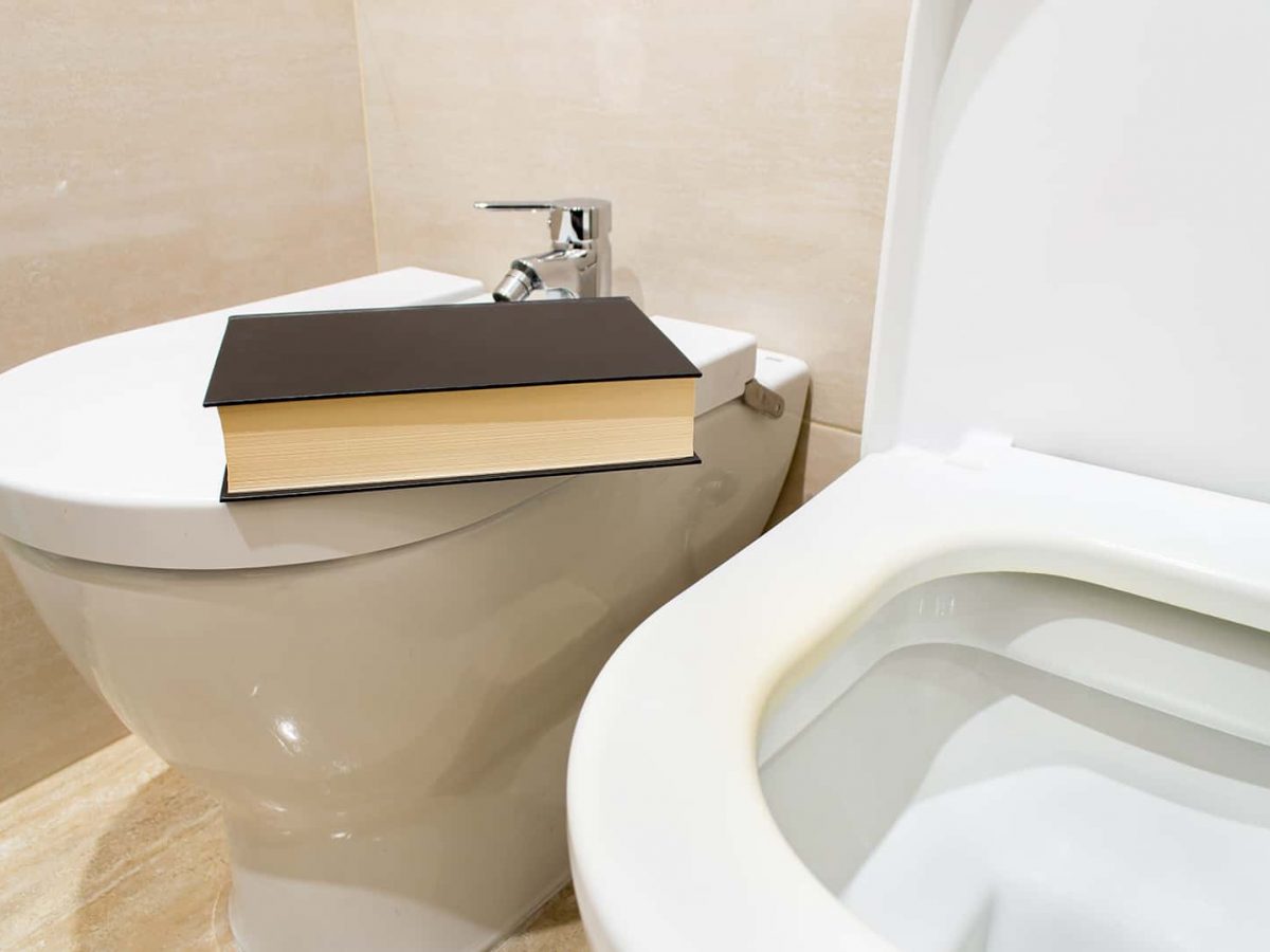 the bathroom book