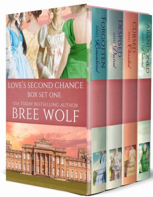 Cover for Love's Second Chance Series Box Set: Novels 1-4