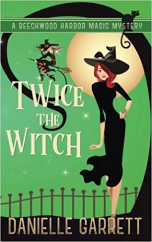 Cover for Twice the Witch