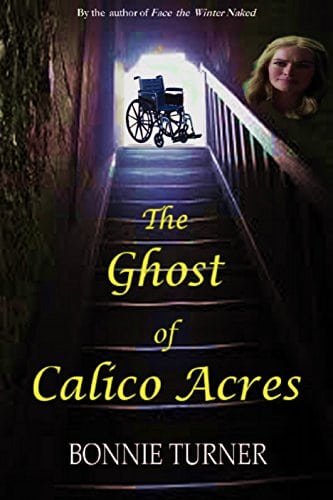 Cover for The Ghost of Calico Acres