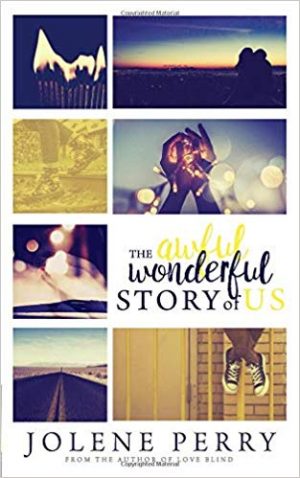 Cover for The Awful Wonderful Story of Us