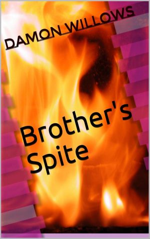 Cover for Brother's Spite