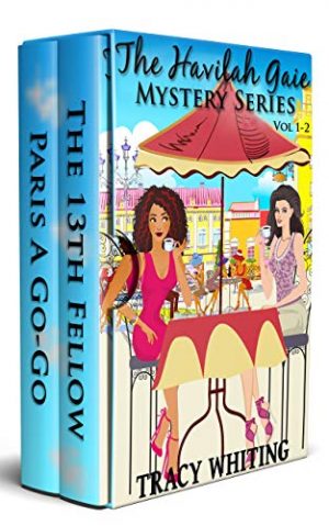Cover for The Havilah Gaie Cozy Mystery Series