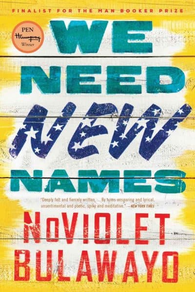 Cover for We Need New Names