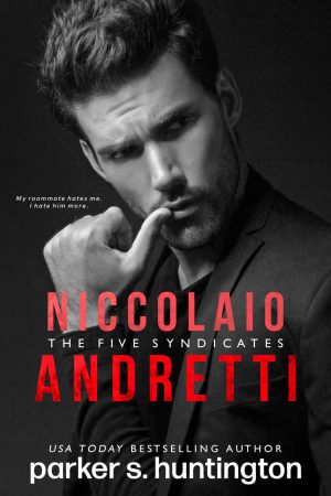 Cover for Niccolaio Andretti