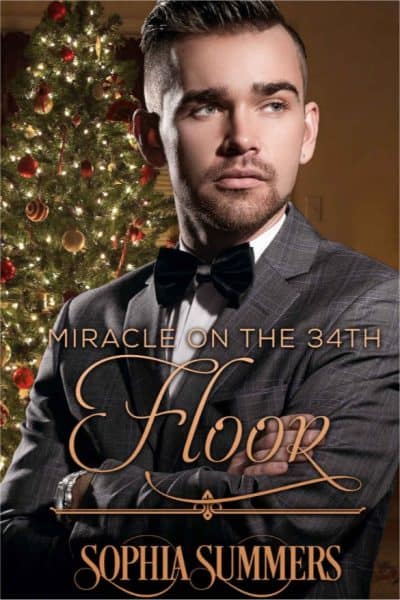 Cover for Miracle on the 34th Floor