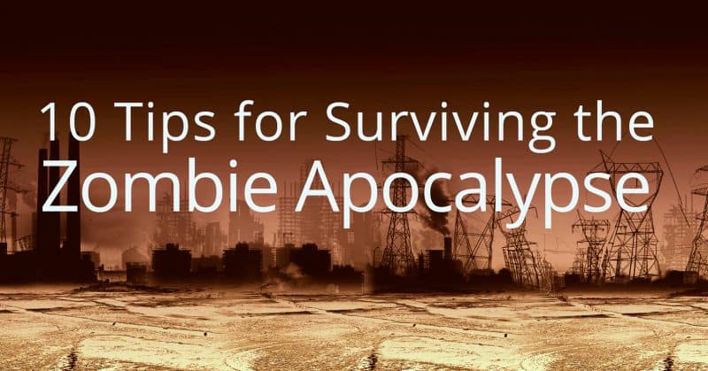 how to survive a zombie apocalypse essay
