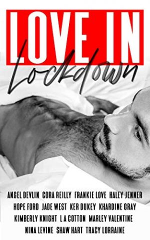 Cover for Love in Lockdown
