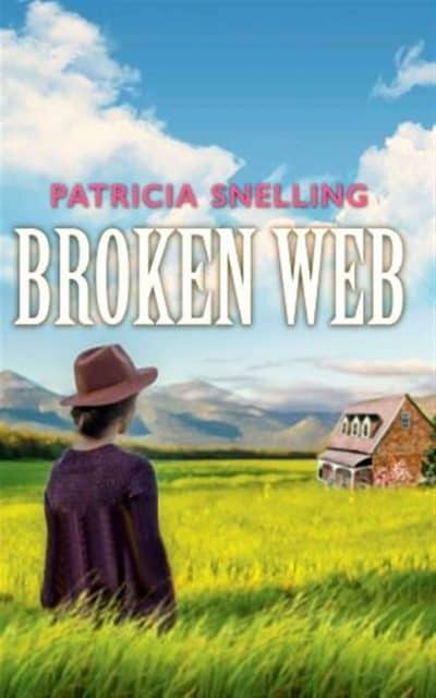 Cover for Broken Web