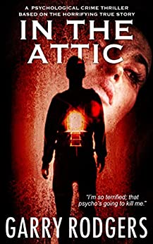 Cover for In the Attic