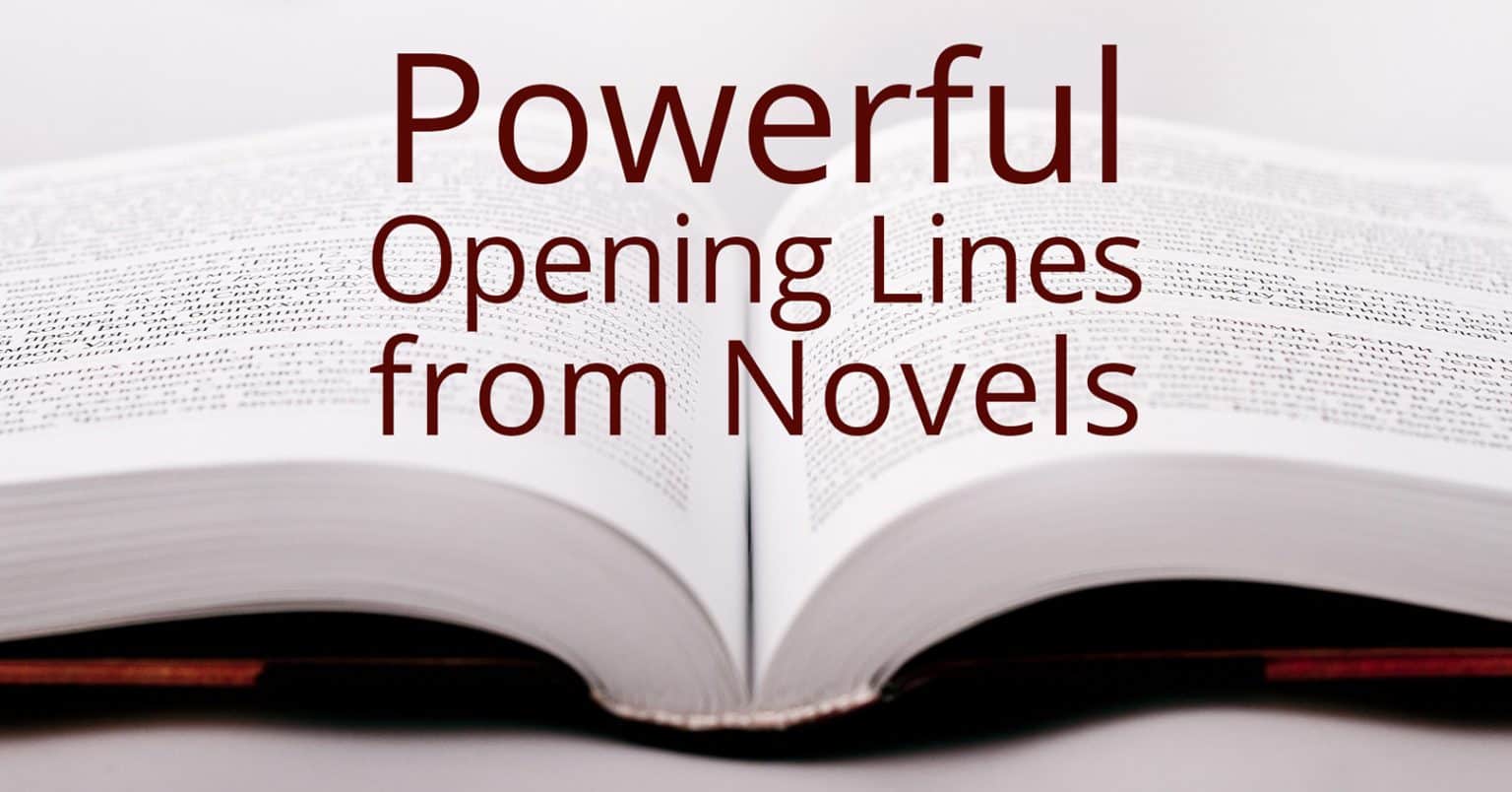 book review opening sentences