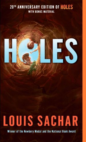 Cover for Holes