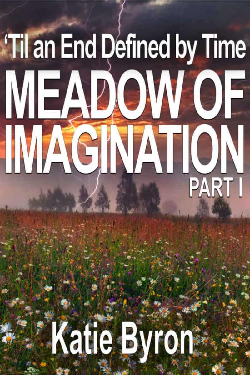 Cover for Meadow of Imagination