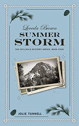 Cover for Loveda Brown: Summer Storm