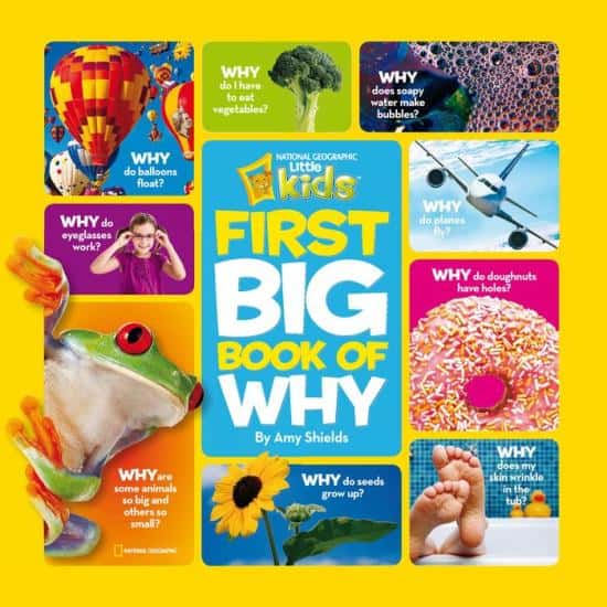 national geographic little kids first big book of why
