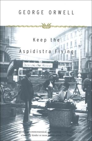 george orwell books - Keep the Aspidistra Flying