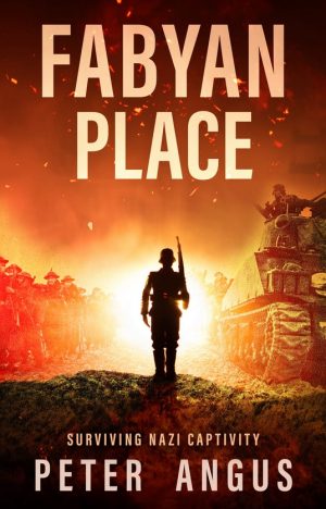 Cover for Fabyan Place