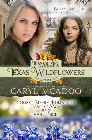 Cover for Texas Wildflowers