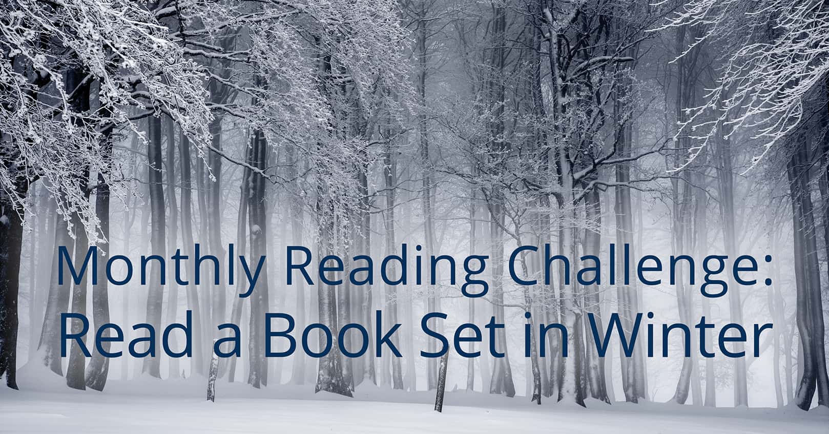 monthly reading challenge - winter book