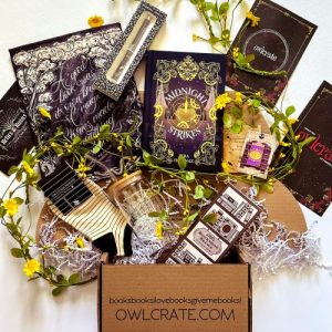 example of monthly subscription box by owlcrate